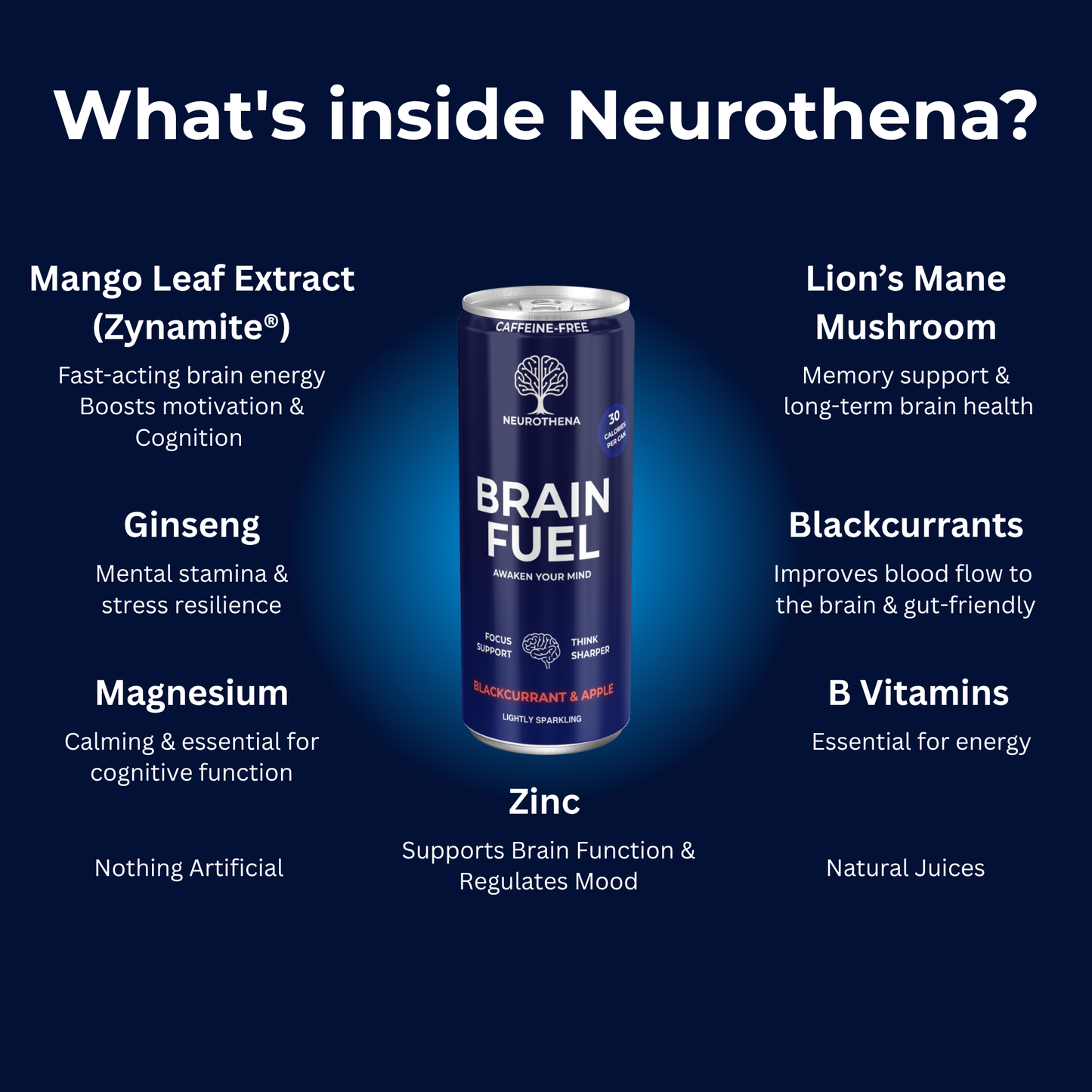 Blackcurrant & Apple (12-Pack)