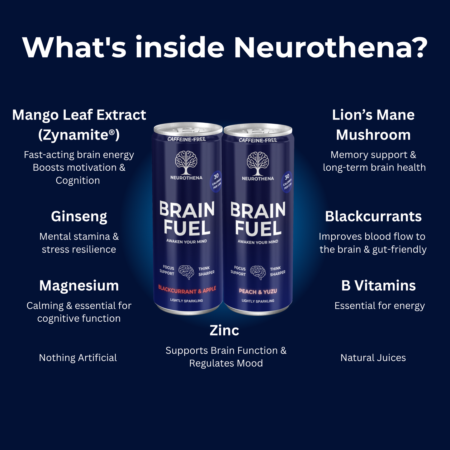 Mix Pack (4 & 12 Pack)