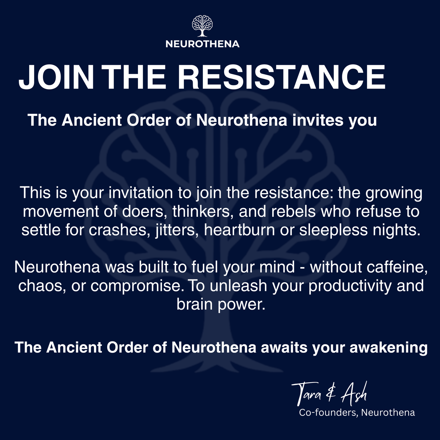 Peach & Yuzu (12-Pack)